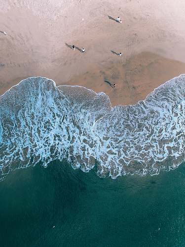 santa cruz aerial photography of people on beach united states